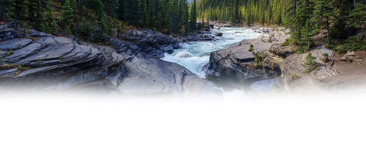 Fly fishing in British Columbia