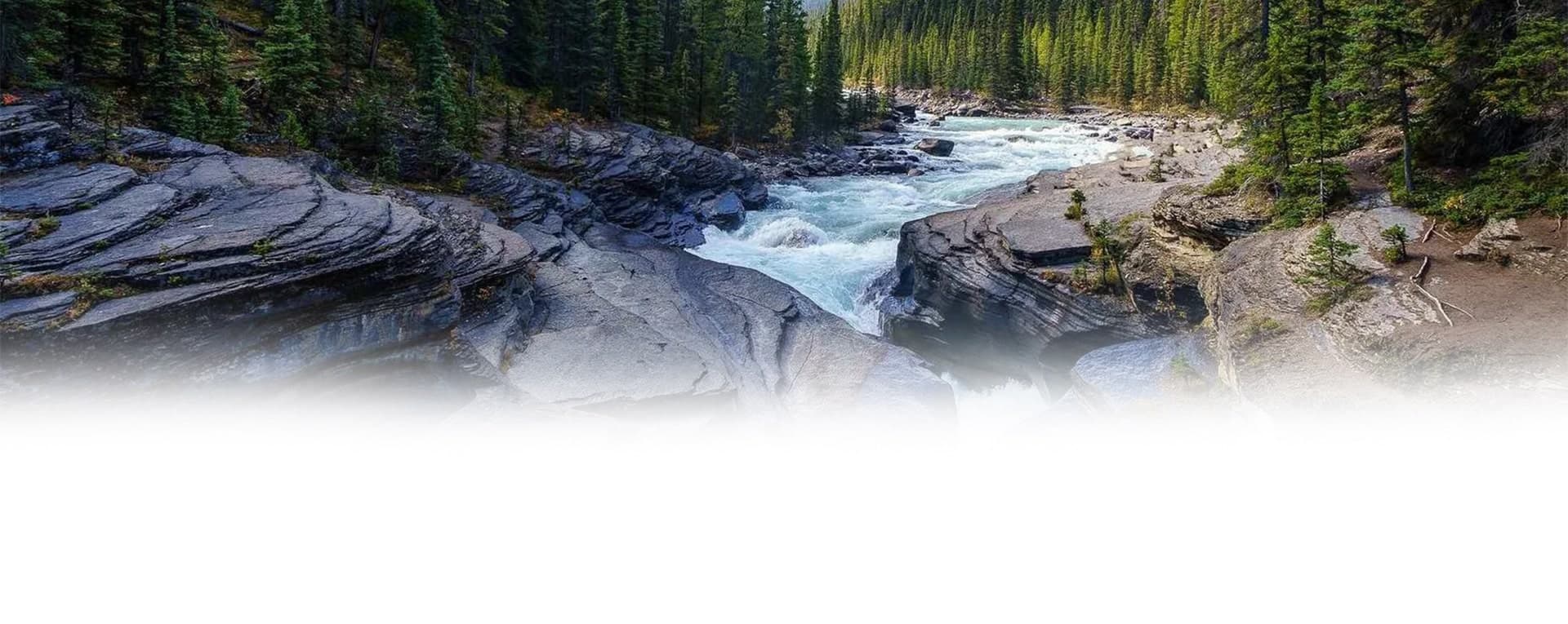 Fly fishing in British Columbia