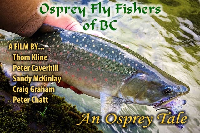 Flies of the Pacific Northwest
