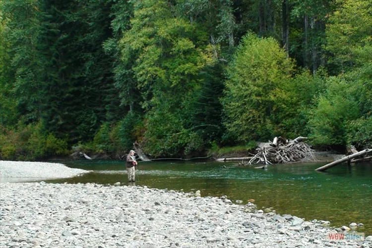 Skagit River