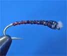 Ekdahl's Chironomid