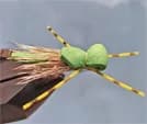 Simple Hopper